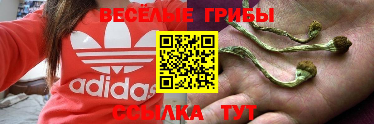 Мичуринск  Галлюциногенные грибы Cubensis  Вход с VPN  Псилоцибиновые грибы MAGIC MUSHROOMS 